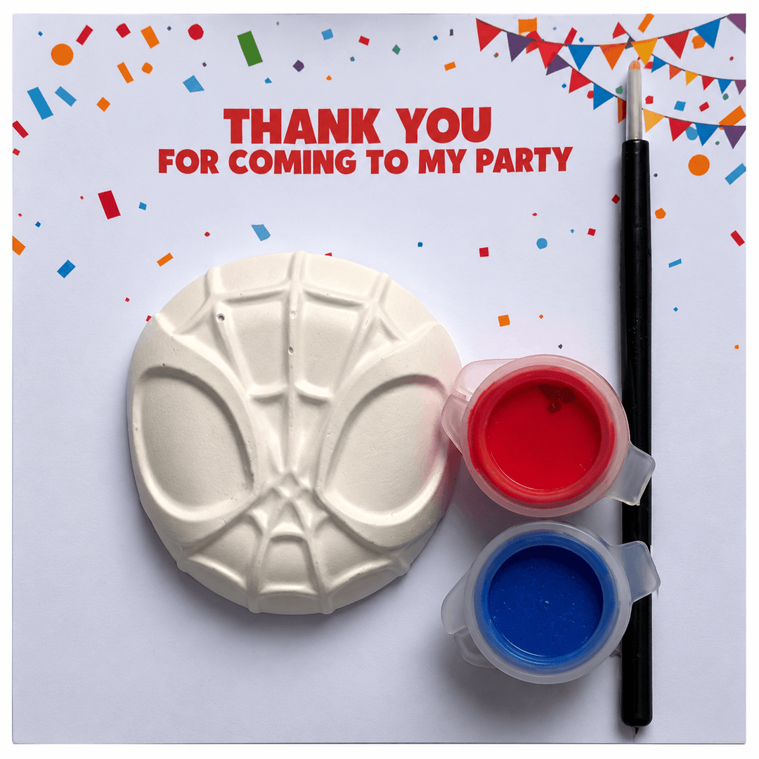 Spider Hero Party Bag