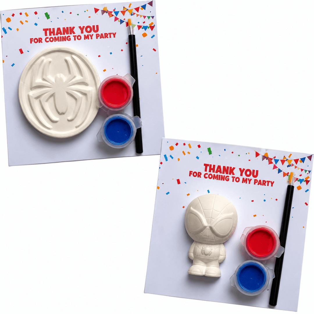 Spider Hero Party Bag