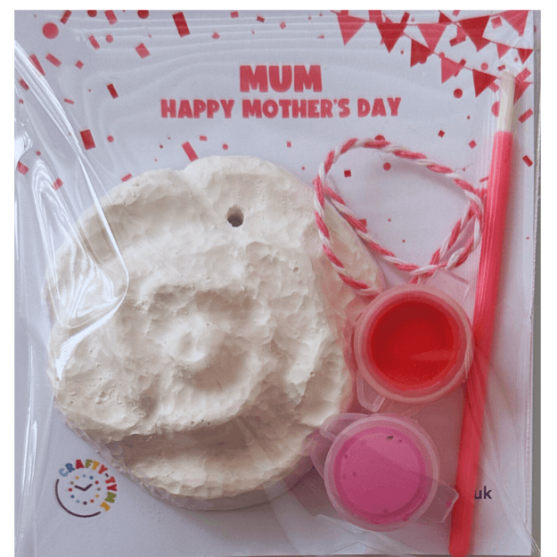 Mother's Day Hanging Rose Paint Kit