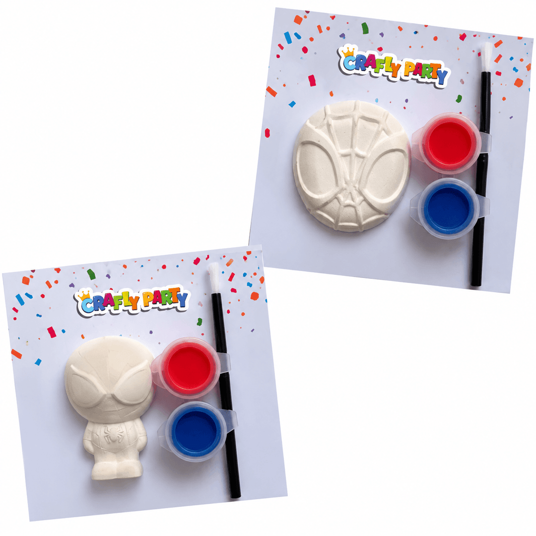 Spider Hero Party Bag