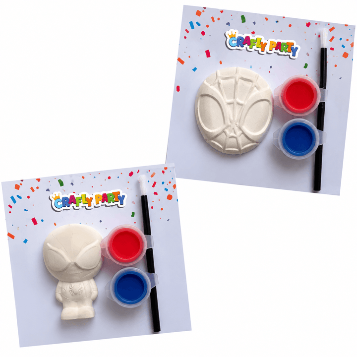 Spider Hero Party Bag